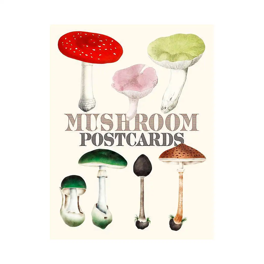 9784756253804 Mushroom Postcards (Illustration Book)