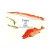 9784756256522 Fishes of EDO: A Guide to Classical Japanese Fishes (Illustration Book)