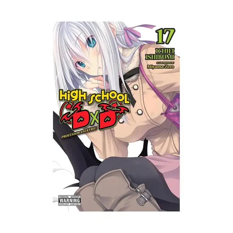 9798855417661 High School DXD (Light Novel) Volume 17