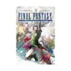 Final Fantasy Lost Stranger (Manga) Volume 13