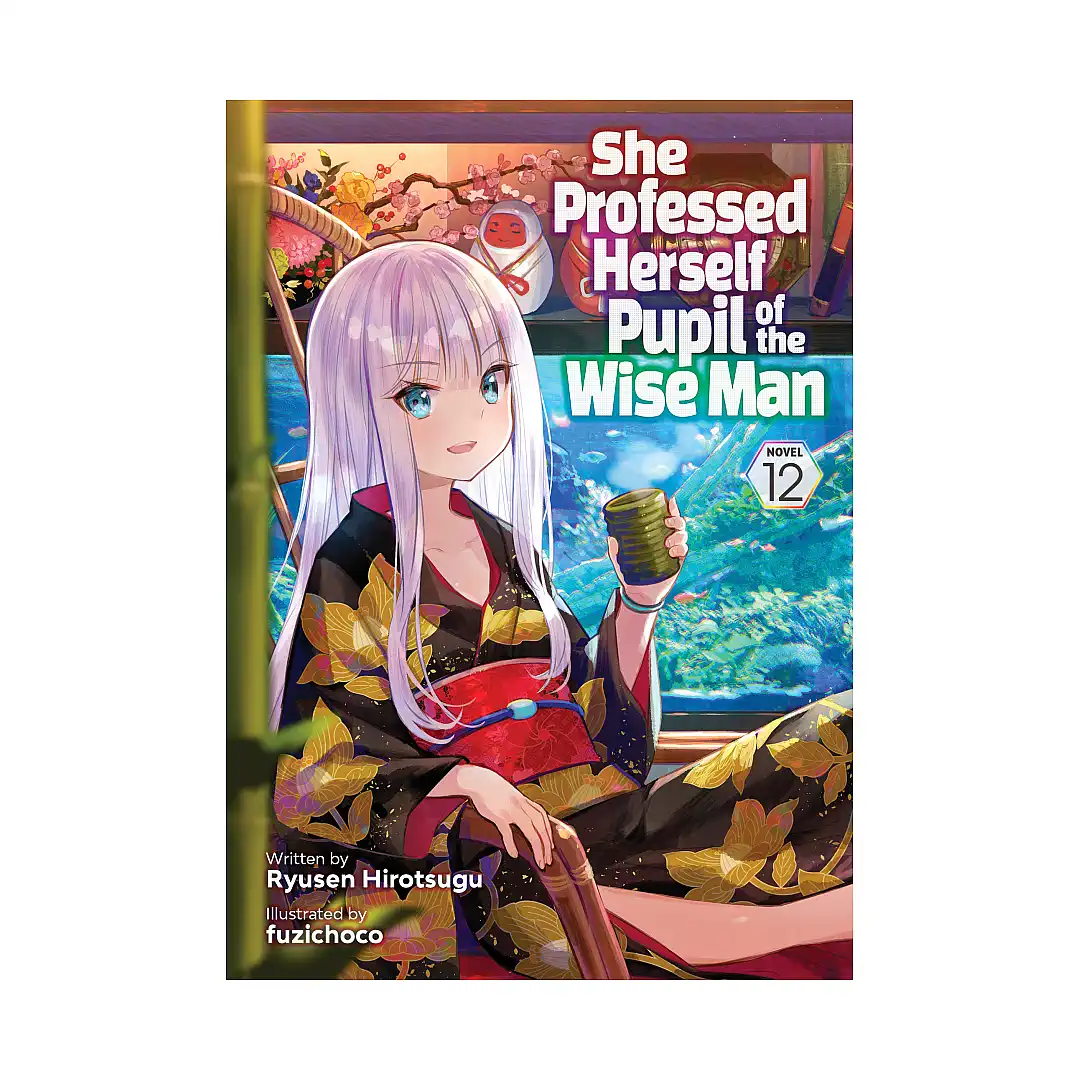 She Professed Herself Pupil of the Wise Man (Light Novel) Volume 12