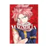 9798888777039 Magnolia: Fairy Tail Complete Illustrations (Illustration Book)