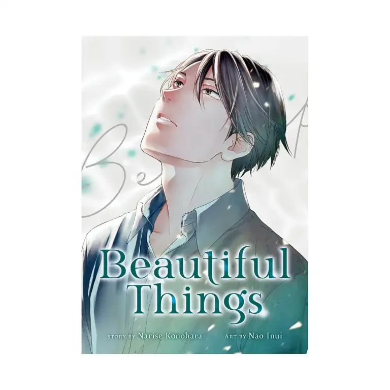 Beautiful Things: The Complete Collection (Manga)